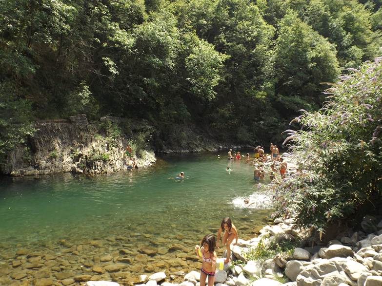  Image name: Image16.jpg 
 width: 783 pixel 
 height: 587 pixel 
 Size: 138028 bytes 
 Click to enlarge 